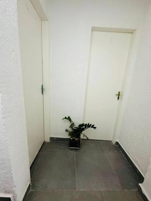Kitnet Mobiliada, 01 -zona Norte Cod 04 Apartamento